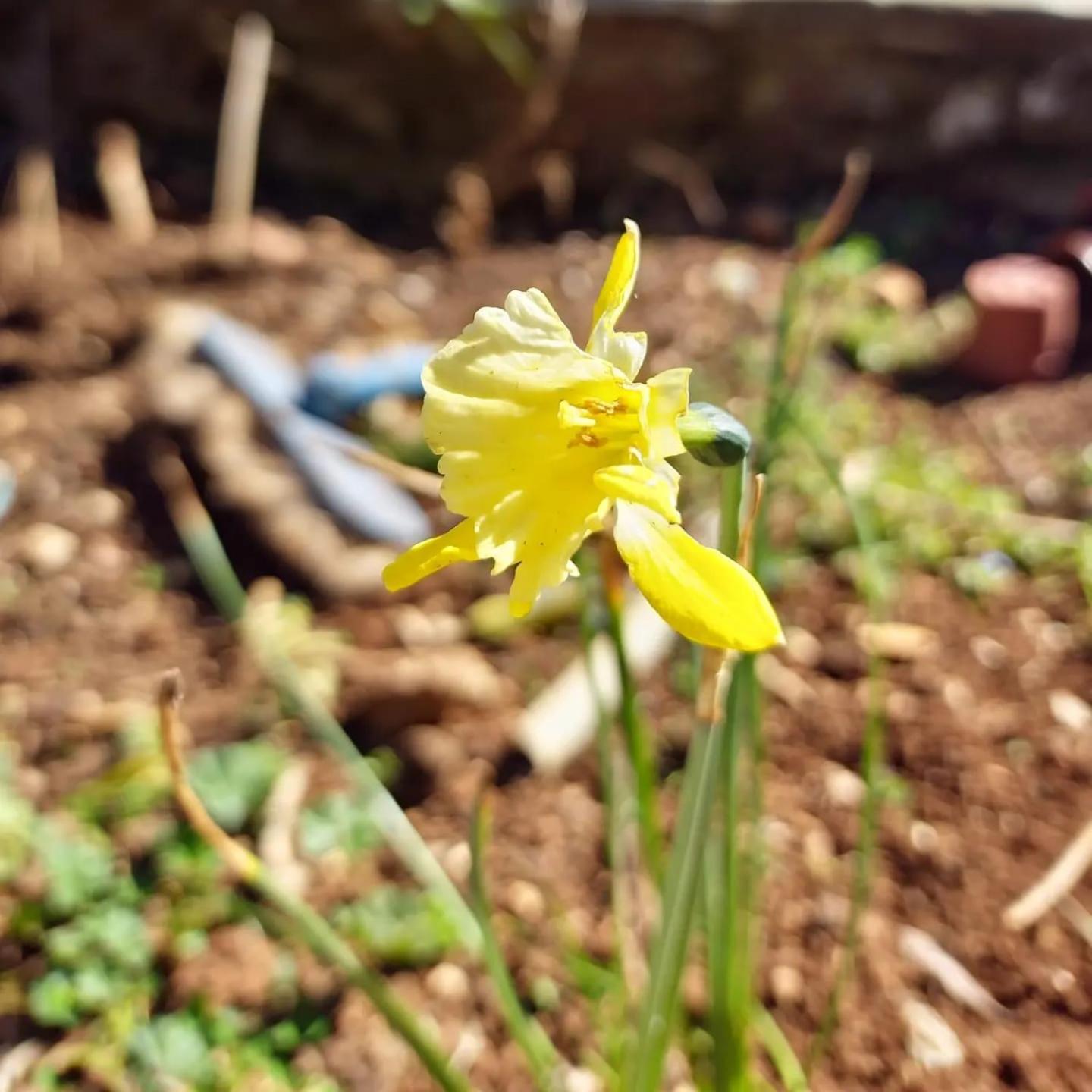 Villa Shuaipaj Gjirokaster Bagian luar foto