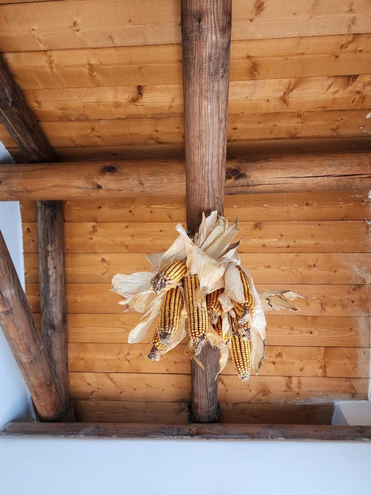 Villa Shuaipaj Gjirokaster Bagian luar foto